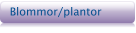 Blommor/plantor