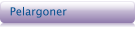 Pelargoner