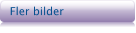 Fler bilder