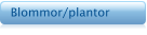 Blommor/plantor