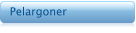 Pelargoner