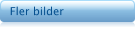 Fler bilder